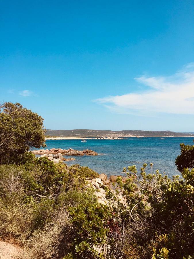 A Gioia Di Campa * Figari (Corsica)